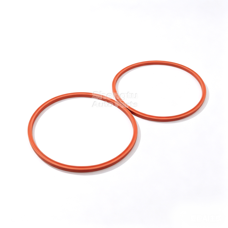 2Pcs Fuel Pump Tank Seal O-Rin - đánh giá và giá Tank O-Ring Seal