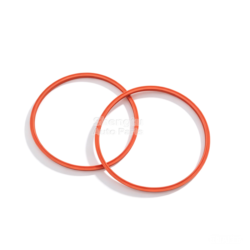 2Pcs Fuel Pump Tank Seal O-Rin - đánh giá và giá Tank O-Ring Seal